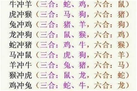 12生肖三合|12 生肖配對的三合，六合，沖六，守衛保護六